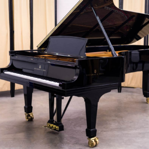 Steinway & Sons Model D Concert Grand